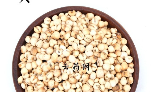 麦芽连翘的功效与作用及禁忌症-连翘麦芽香附,中国麦芽连翘的功效与作用及禁忌网站